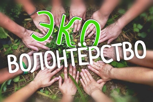 Уроки об эковолонтёрстве и экологическом лидерстве для школьников.